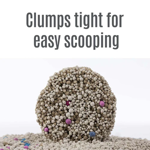 Easy Clean Premium Bentonite Cat Litter - 10L - Image 3