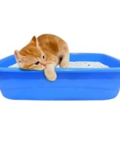 Pawcomfort Kitten Litter Tray